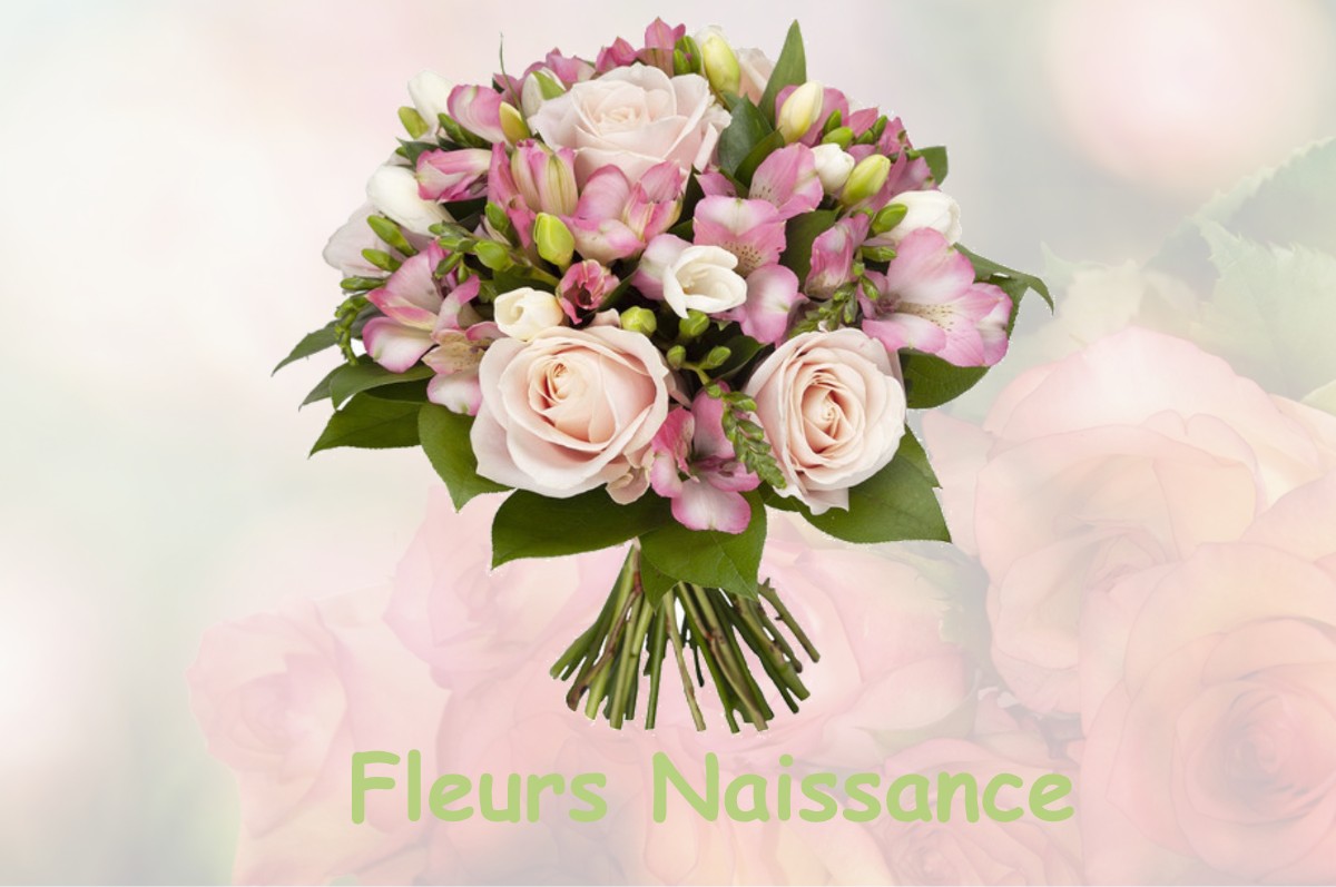 fleurs naissance SAINT-ANDRE-DE-ROSANS