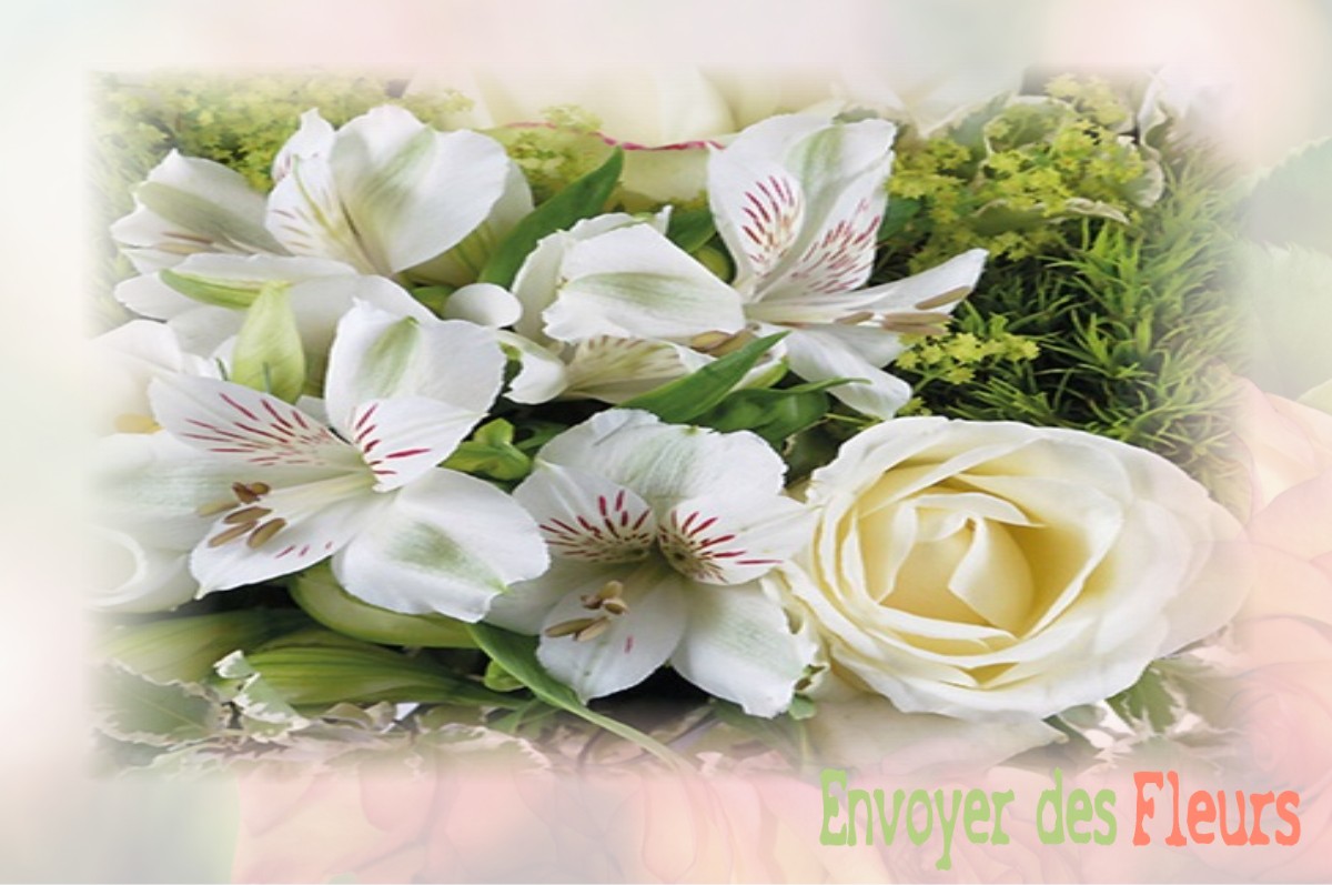 envoyer des fleurs à à SAINT-ANDRE-DE-ROSANS